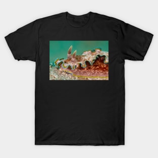 Colourful nudibranch with green background T-Shirt